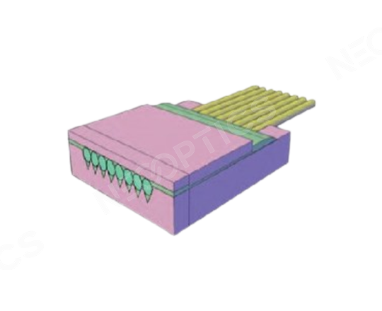 Fiber-Array5.png